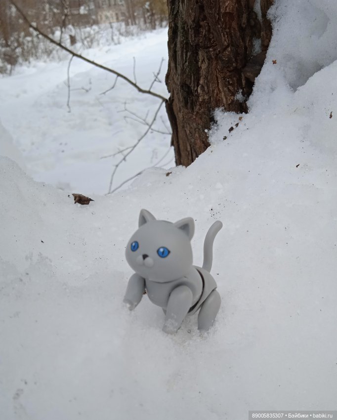 Марсель и снежная прогулка