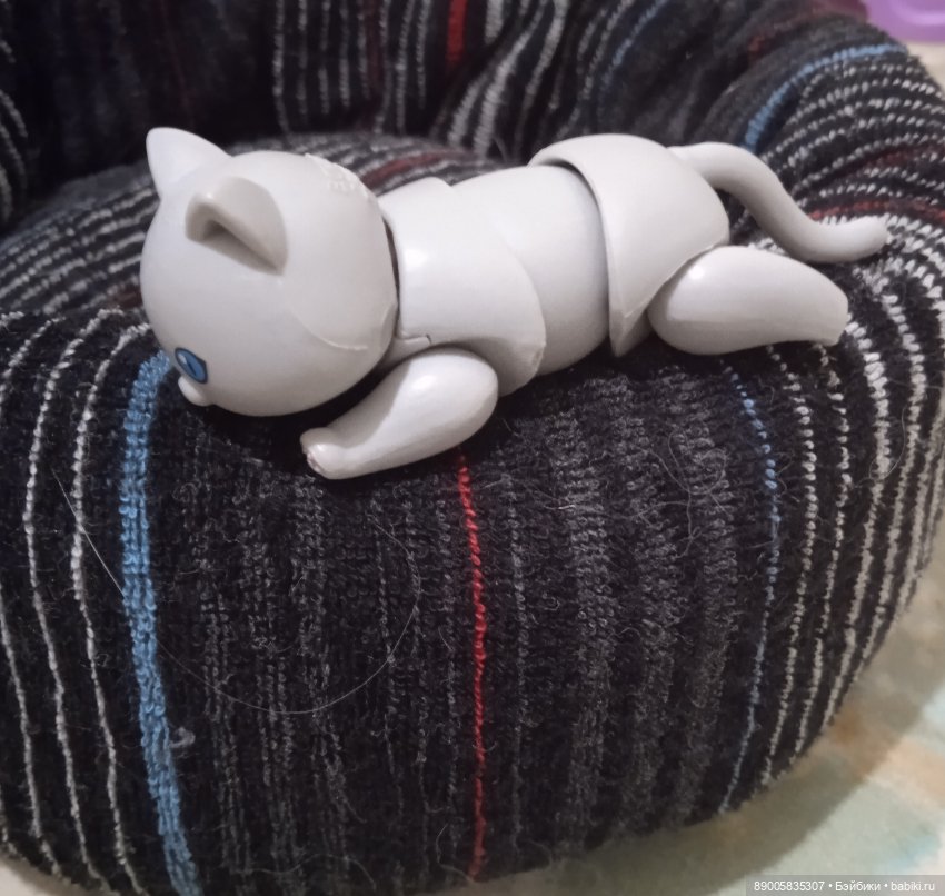 Марсель и снежная прогулка