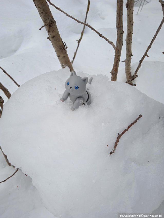 Марсель и снежная прогулка