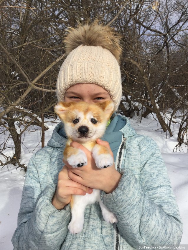 Реалистичные мягкие игрушки в стиле натюр. К нам приехал второй щенок (фото 4)