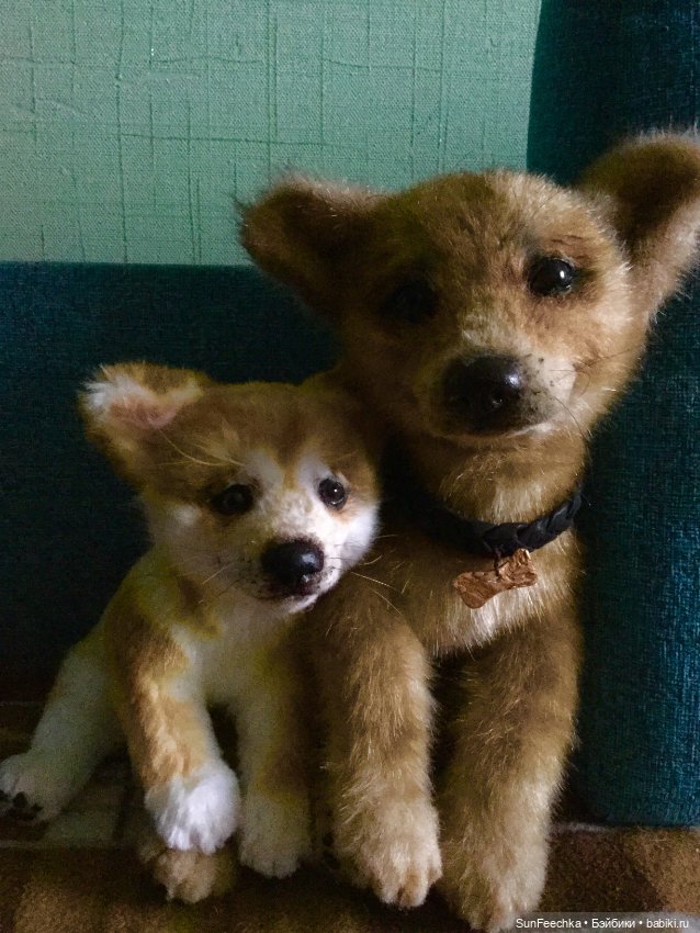 Реалистичные мягкие игрушки в стиле натюр. К нам приехал второй щенок