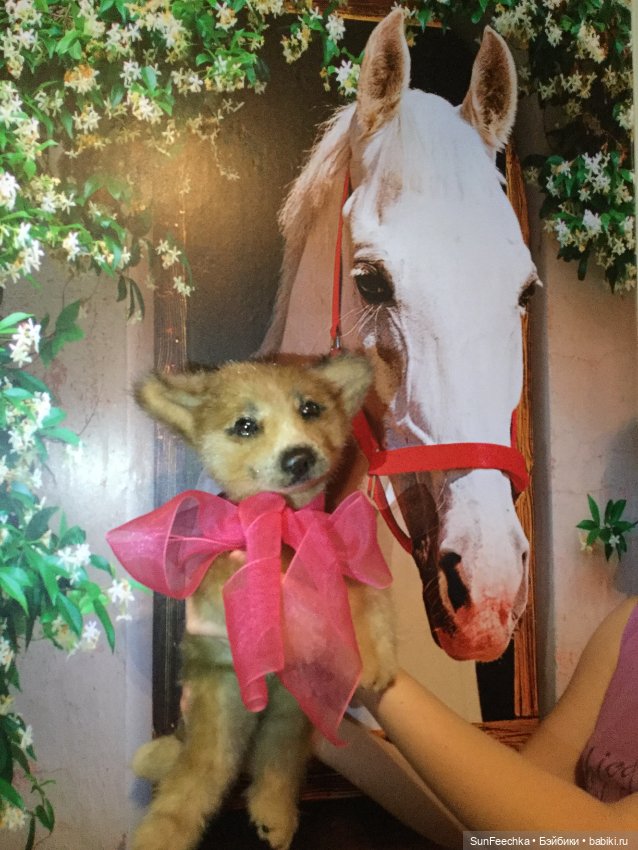 Реалистичные мягкие игрушки в стиле натюр. К нам приехал второй щенок