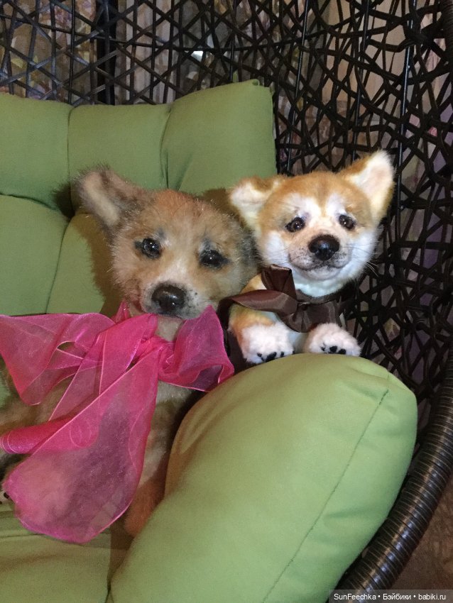 Реалистичные мягкие игрушки в стиле натюр. К нам приехал второй щенок