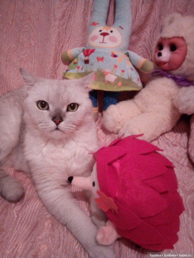 И ещё игрушки — Интересные игрушки и фигурки (разное): редкие (фото 7)