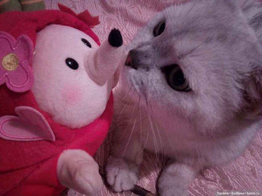 И ещё игрушки — Интересные игрушки и фигурки (разное): редкие (фото 8)