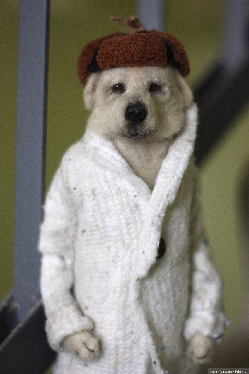 Комната левши. Собаченьки с характером