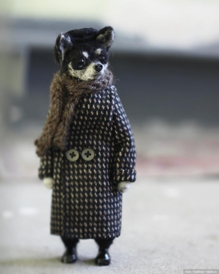 Комната левши. Собаченьки с характером