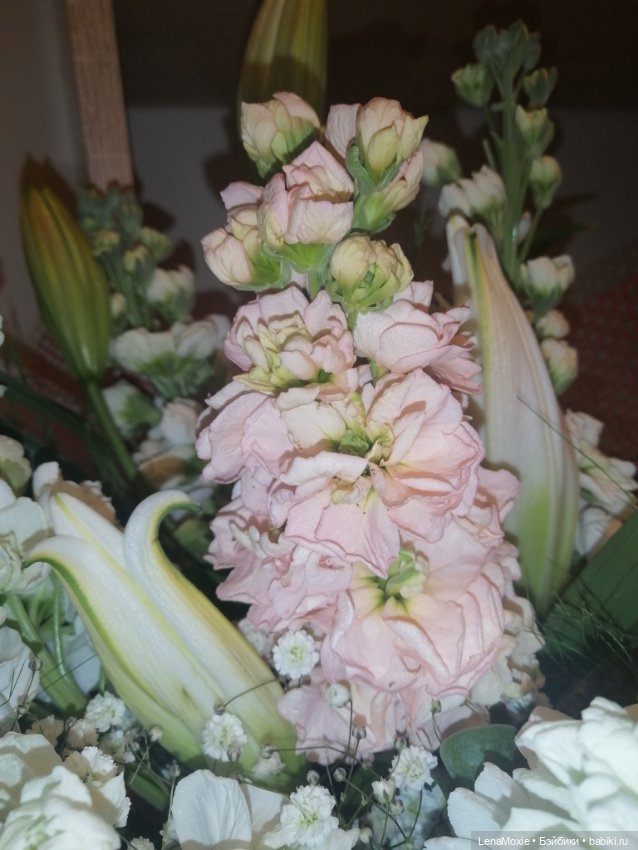 Эсна девочка - Весна VS Свеня Gotz