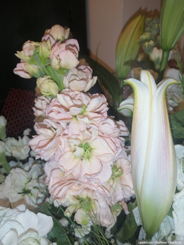 Эсна девочка - Весна VS Свеня Gotz