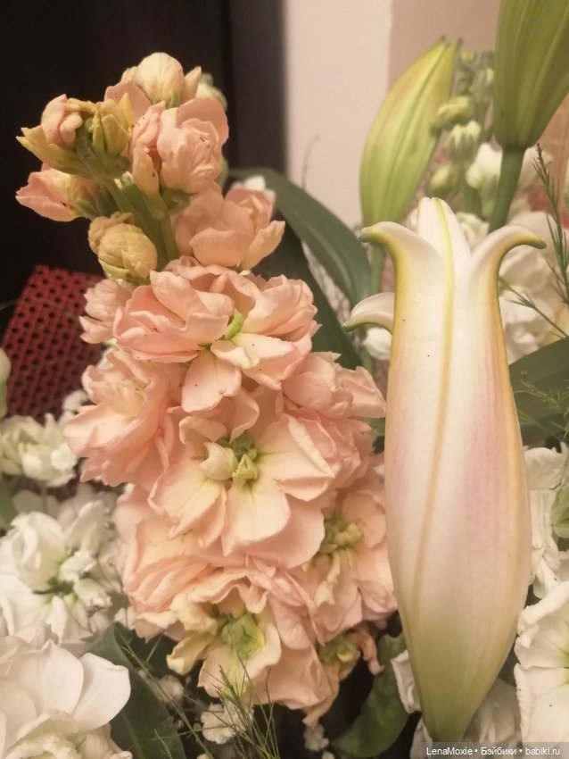 Эсна девочка - Весна VS Свеня Gotz