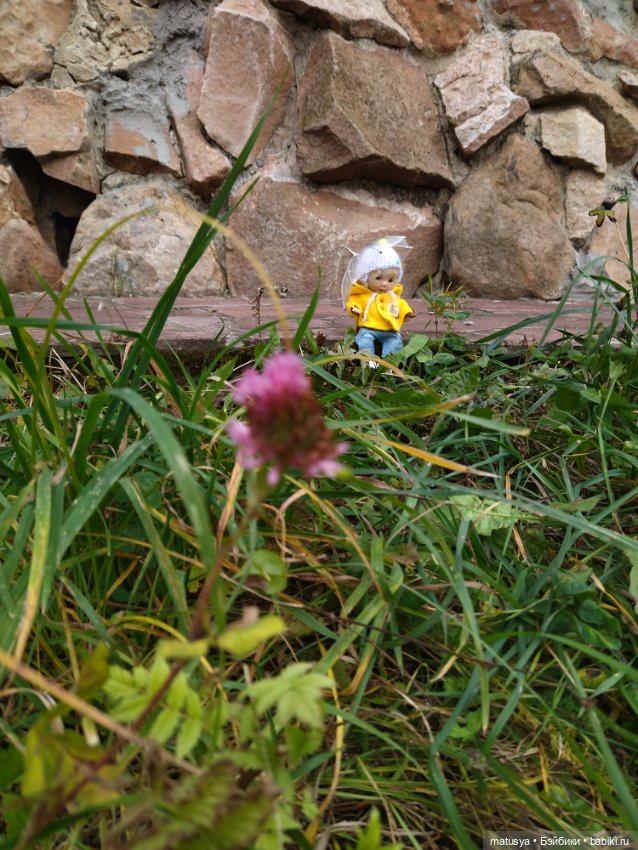 Мася и грустная осень — Куклы Nikki Britt (Никки Бритт): авторские BJD (БЖД)