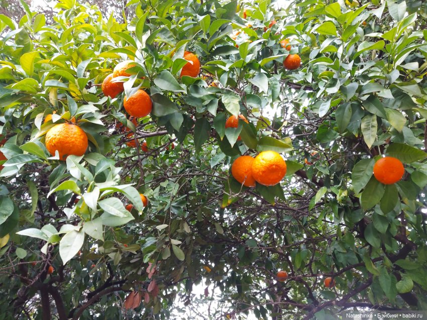 Fashion Dolls 319 — Туризм и путешествия: фотоотчеты из поездок (фото 4)