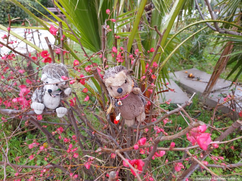 Fashion Dolls 319 — Туризм и путешествия: фотоотчеты из поездок (фото 3)