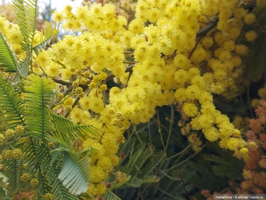 Fashion Dolls 319 — Туризм и путешествия: фотоотчеты из поездок (фото 8)