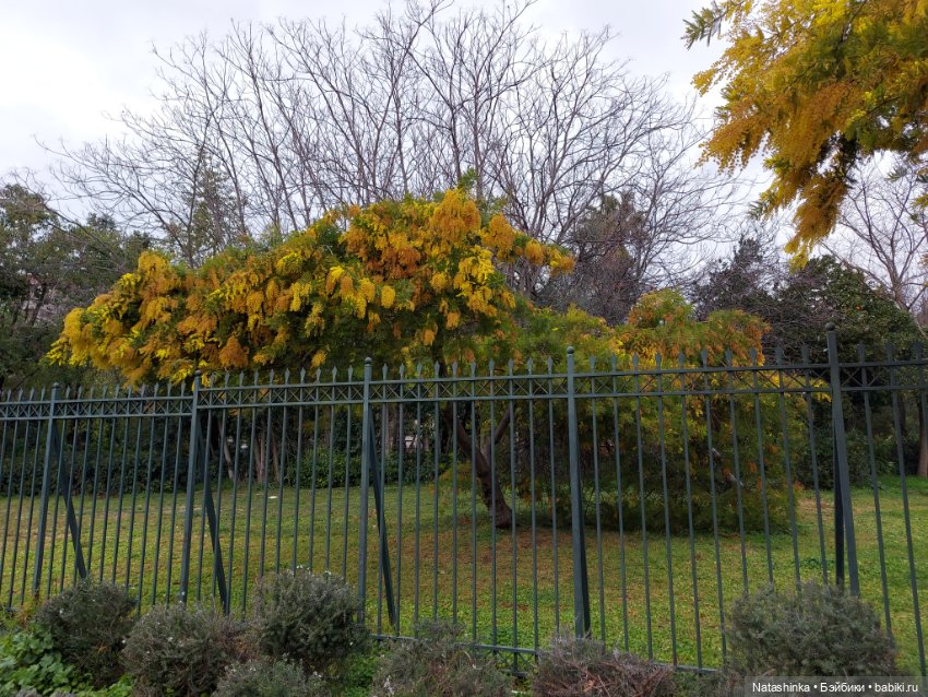 Fashion Dolls 319 — Туризм и путешествия: фотоотчеты из поездок (фото 10)