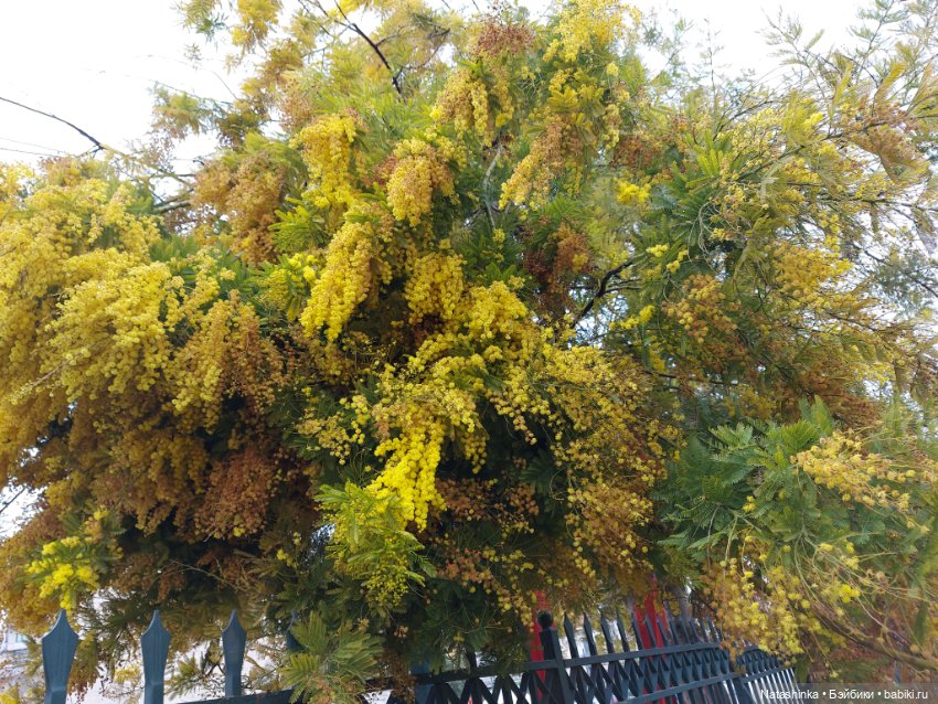 Fashion Dolls 319 — Туризм и путешествия: фотоотчеты из поездок (фото 7)