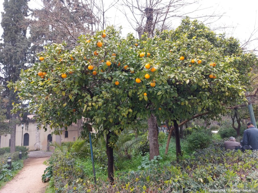 Fashion Dolls 319 — Туризм и путешествия: фотоотчеты из поездок (фото 2)