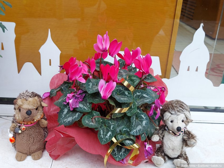 Fashion Dolls 319 — Туризм и путешествия: фотоотчеты из поездок