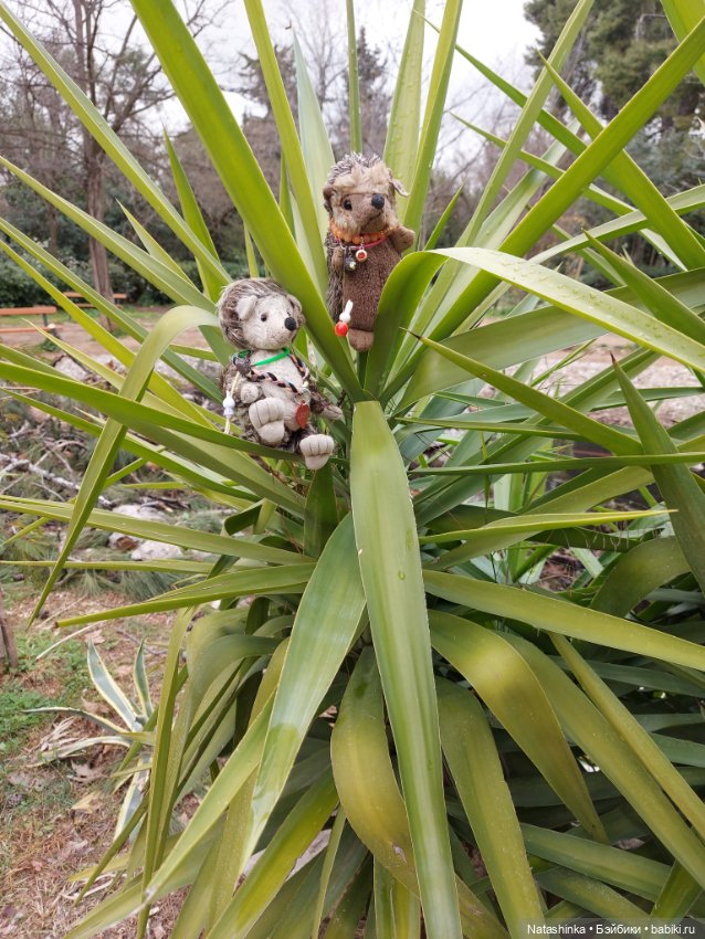 Fashion Dolls 319 — Туризм и путешествия: фотоотчеты из поездок