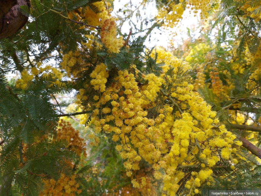 Fashion Dolls 319 — Туризм и путешествия: фотоотчеты из поездок (фото 9)