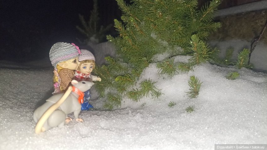 Асоль и Жучок зимой. Realpuki. 148 (фото 6)