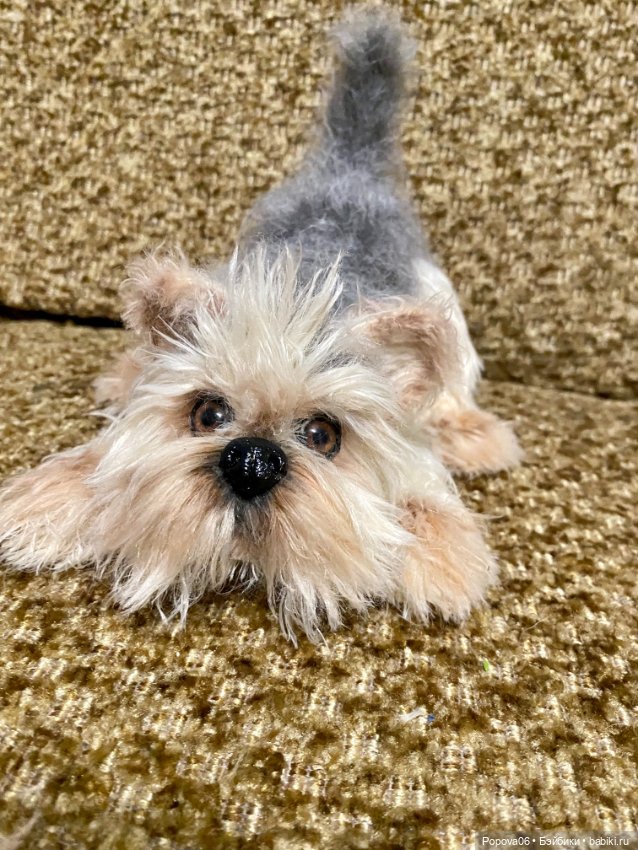 Йорочка живая игрушка😊 — Вязаные игрушки и амигуруми: крючком