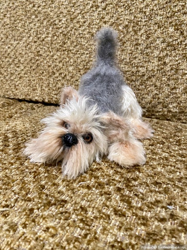 Йорочка живая игрушка😊 — Вязаные игрушки и амигуруми: крючком (фото 8)