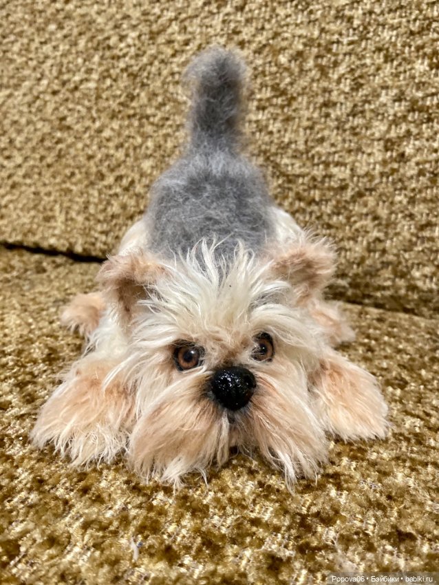 Йорочка живая игрушка😊 — Вязаные игрушки и амигуруми: крючком (фото 7)