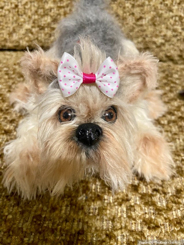 Йорочка живая игрушка😊 — Вязаные игрушки и амигуруми: крючком