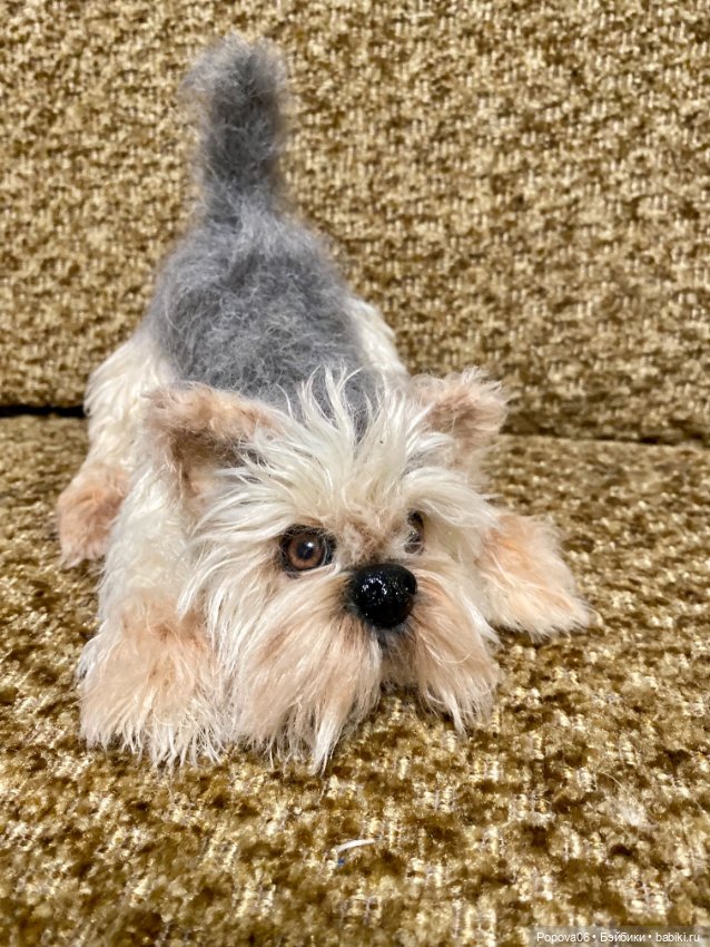 Йорочка живая игрушка😊 — Вязаные игрушки и амигуруми: крючком (фото 6)