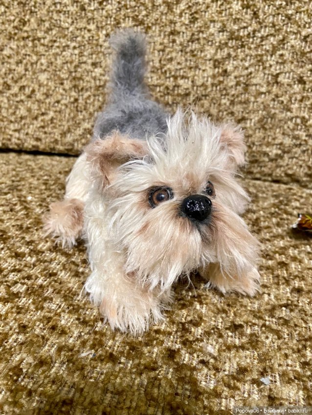 Йорочка живая игрушка😊 — Вязаные игрушки и амигуруми: крючком