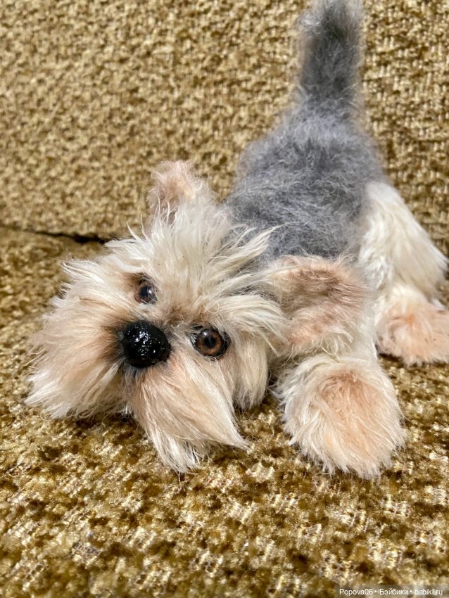 Йорочка живая игрушка😊 — Вязаные игрушки и амигуруми: крючком