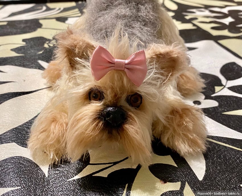 Йорочка живая игрушка😊 — Вязаные игрушки и амигуруми: крючком