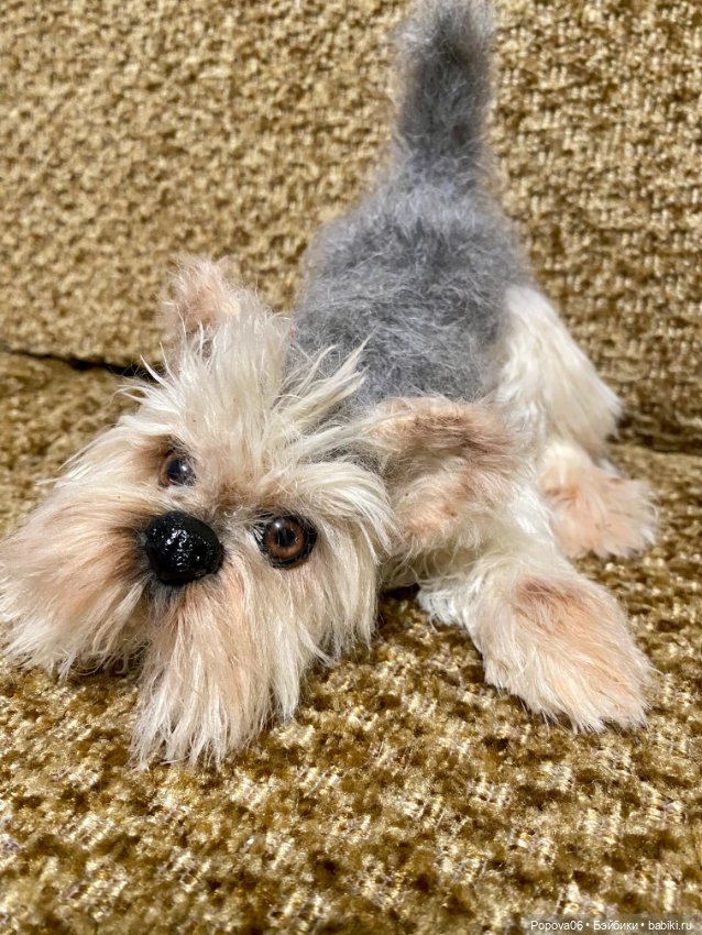 Йорочка живая игрушка😊 — Вязаные игрушки и амигуруми: крючком