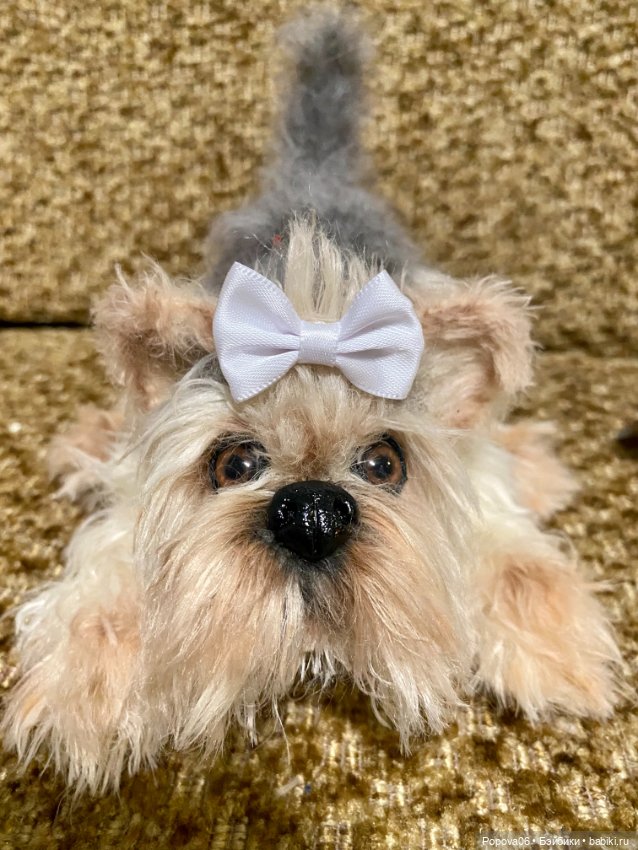 Йорочка живая игрушка😊 — Вязаные игрушки и амигуруми: крючком