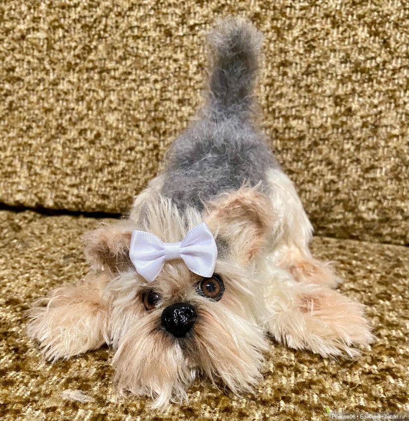 Йорочка живая игрушка😊 — Вязаные игрушки и амигуруми: крючком