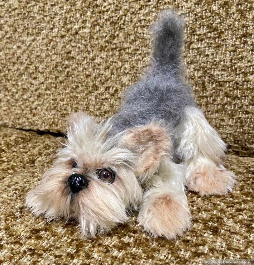 Йорочка живая игрушка😊 — Вязаные игрушки и амигуруми: крючком