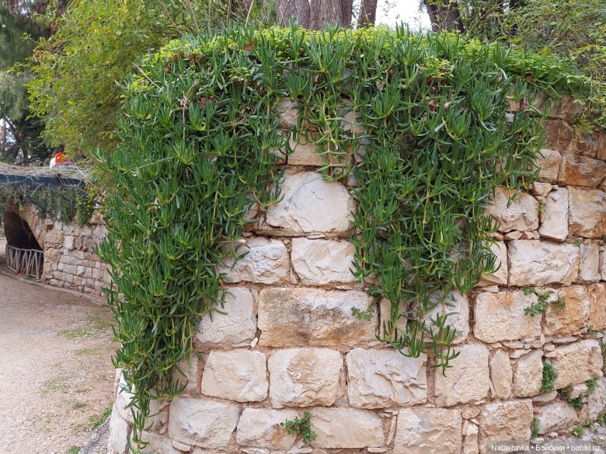 Fashion Dolls 322 — Туризм и путешествия: фотоотчеты из поездок