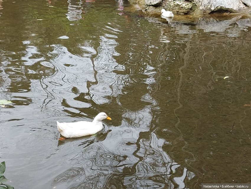 Fashion Dolls 322 — Туризм и путешествия: фотоотчеты из поездок