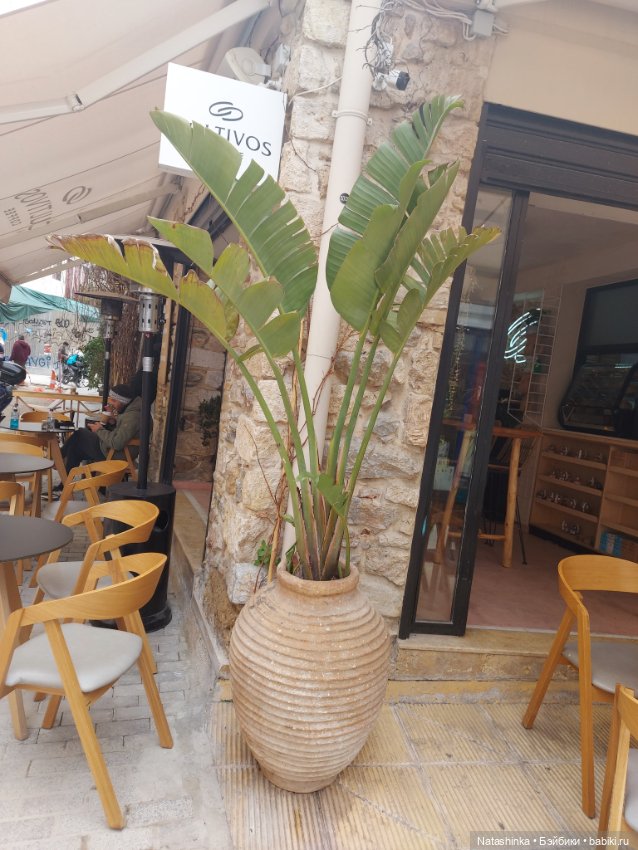 Fashion Dolls 322 — Туризм и путешествия: фотоотчеты из поездок