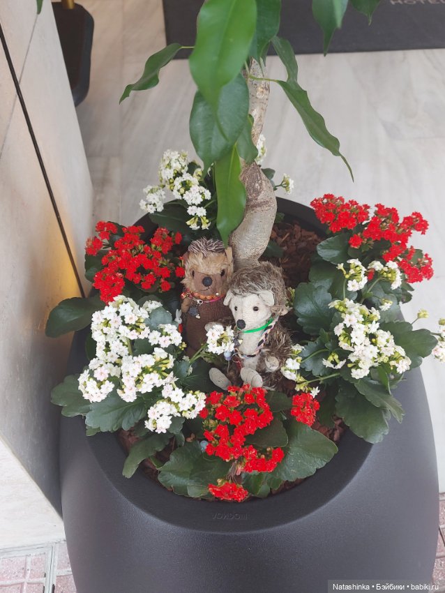 Fashion Dolls 322 — Туризм и путешествия: фотоотчеты из поездок