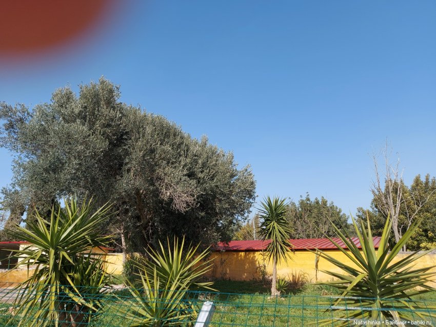 Fashion Dolls 323 — Туризм и путешествия: фотоотчеты из поездок