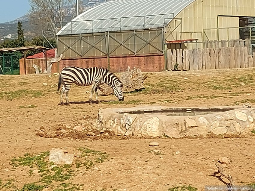 Fashion Dolls 323 — Туризм и путешествия: фотоотчеты из поездок