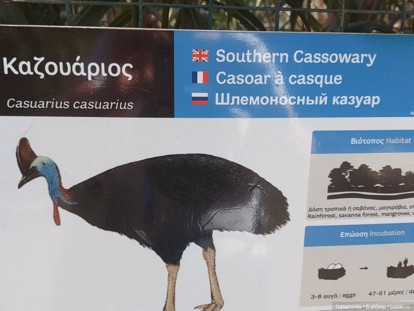 Fashion Dolls 323 — Туризм и путешествия: фотоотчеты из поездок