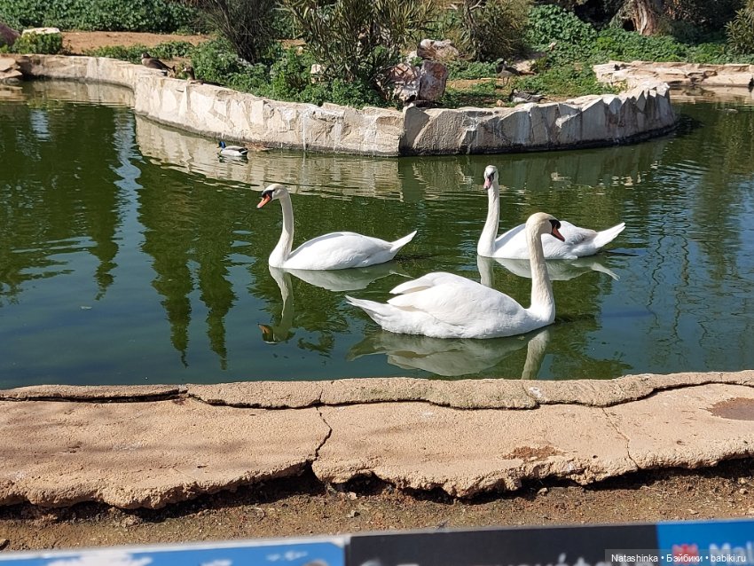 Fashion Dolls 323 — Туризм и путешествия: фотоотчеты из поездок