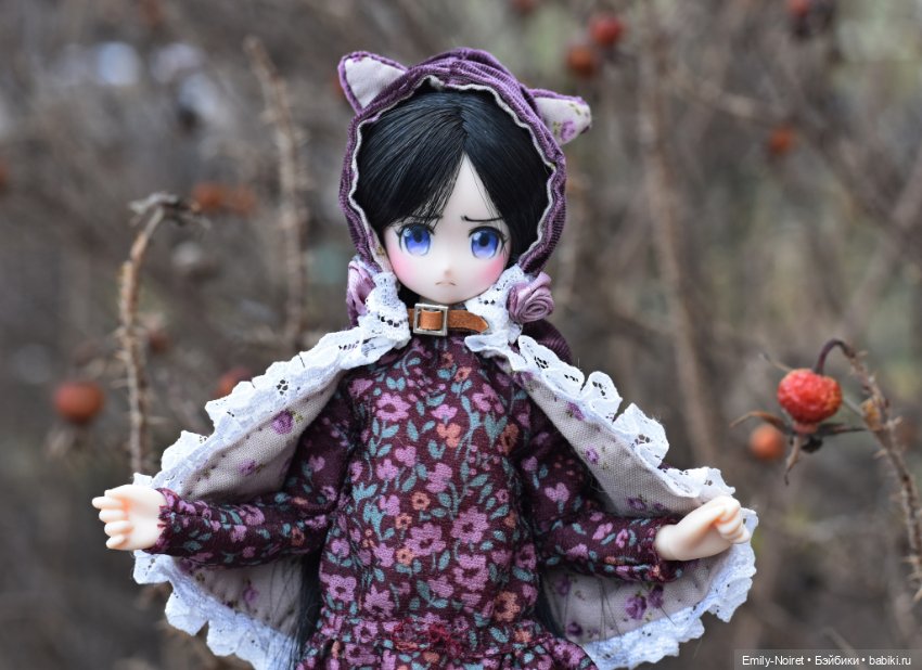 Весна пришла — Аниме куклы (MJD/Винил): Imomo