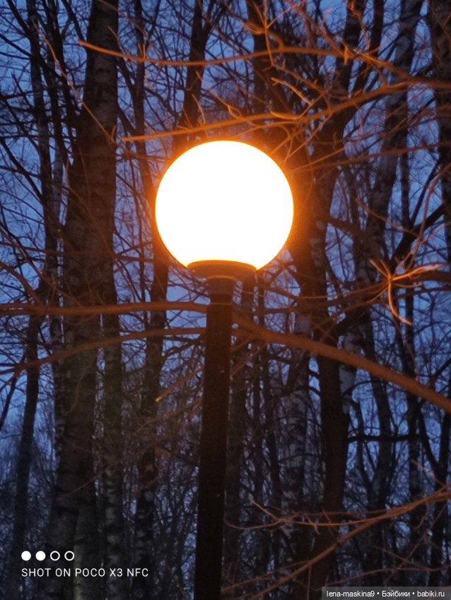 Глаша и Маша в лесу — Petite Blythe и LPS (Hasbro): Мини Блайз