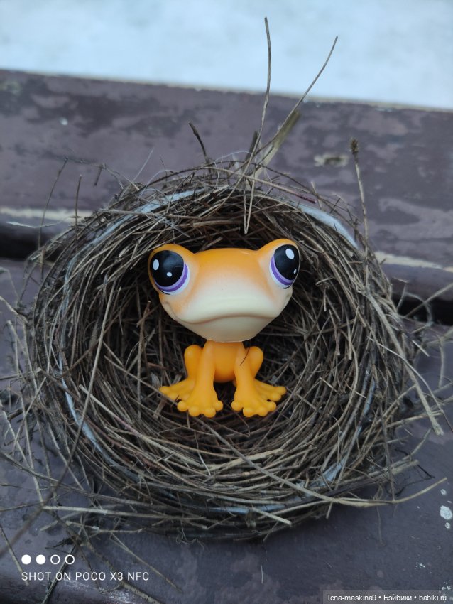 Глаша и Маша в лесу — Petite Blythe и LPS (Hasbro): Мини Блайз