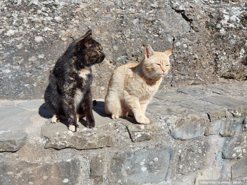 Fashion Dolls 326 — Туризм и путешествия: фотоотчеты из поездок (фото 5)