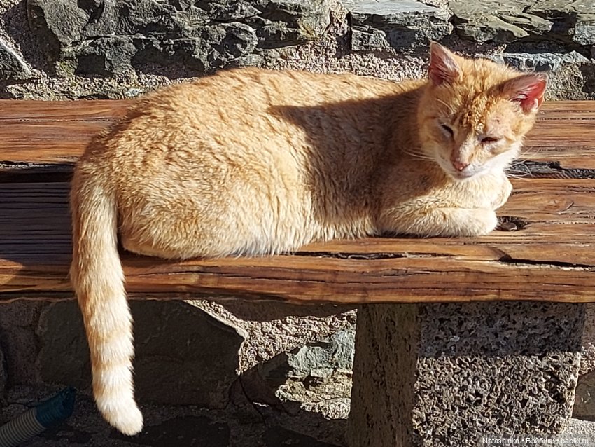 Fashion Dolls 326 — Туризм и путешествия: фотоотчеты из поездок